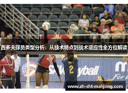 西多夫球员类型分析：从技术特点到战术适应性全方位解读