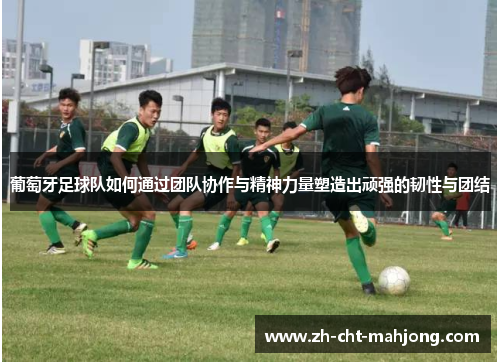葡萄牙足球队如何通过团队协作与精神力量塑造出顽强的韧性与团结