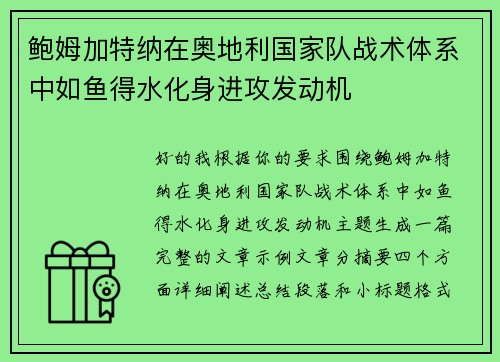 鲍姆加特纳在奥地利国家队战术体系中如鱼得水化身进攻发动机 鲍姆加特纳在奥地利国家队战术体系中如鱼得水化身进攻发动机